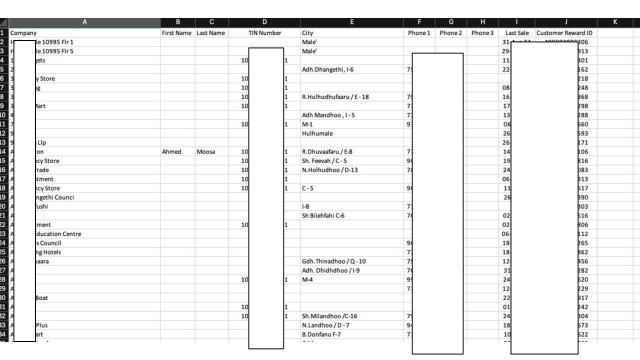 Cleaned customer data for Odoo import